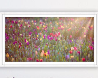 Tulips Wall Art print large wall decor mothers day gift gift for her spring floral photography landscape multicolor canvas flowers tulip