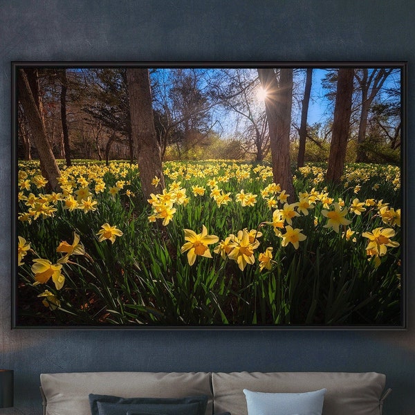 Daffodils Print daffodils gifts daffodils art daffodils photo daffodils large wall art yellow blue forest wall art forest decor spring decor