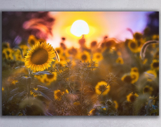 Sunflowers Gifts Sunflower Print Sunflowers Decor Sunflowers wall art large wall decor floral wall art decor sunset photography mothers day
