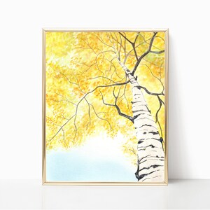 Yellow Birch Tree - Prints - 8"x10" - Various Sizes - Wall Art - Gifts - Fall Art - Cottage - Birch Trees - Fall Trees - Nature Art - Decor