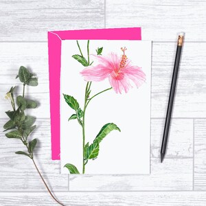 Pink Hibiscus - nota carta - 4 "x 6" - scheda individuale - cartolina d'auguri - regali per lei - fiore di ibisco - pensando a te - proprio perché - rosa