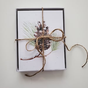 Snow Pine Cone 4 Pack - Carte - 4"x6" - Pacchetto biglietti d'auguri - Regali - Arte della natura - Pigna - Inverno - Stagionale - Pino - Neve - Regali