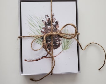 Snow Pine Cone 4 Pack - Cartes - 4"x6 » - Pack carte de vœux - Cadeaux - Nature Art - Cônes de Pin - Hiver - Saisonnier - Pin - Neige - Cadeaux