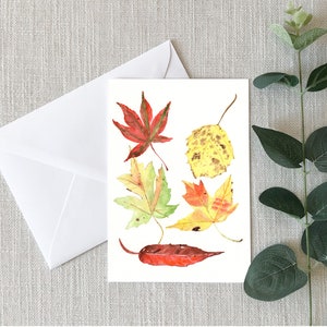Fall Leaves - Greeting Cards - 4"x6" - Single Card - Gifts - Autumn - Thinking of You - Nature - Golden - Fall Trees - Maple Leaf -Encourage