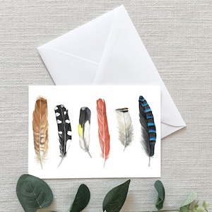 Piume di uccelli canadesi - Cartoline - 4"x6" - Individuali - Biglietto d'auguri - Regali - Arte della natura - Stagionale - Pensando a te - Biglietto piuma - Uccelli