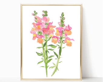 Snapdragons - Estampes - 8"x10 » - Différentes tailles - Art mural - Cadeaux pour elle - Fleurs Snapdragon - Sorbet - Amour de jardinage - Made to Order
