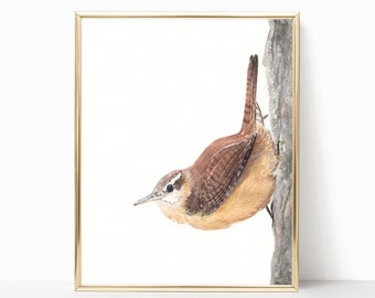 Carolina Wren - Prints - 8"x10" - Various Sizes - Wall Art - Wren Art - Nature Art - Birds of a Feather - Tweet - Gifts - Bird Lovers - Wren