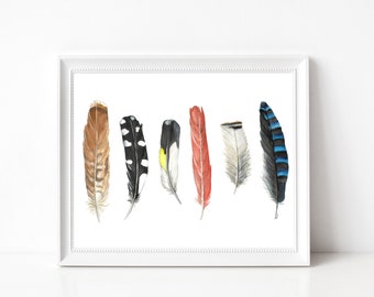 Canadian Bird Feathers - Prints - 8"x10" - Various Sizes - Wall Art - Feathers - Nature Art - Bird Feathers - Birds of a Feather - Gifts