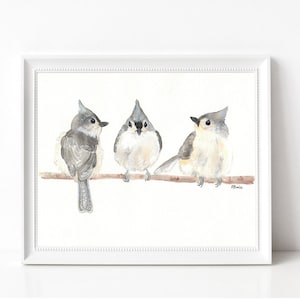 Reihermeise - Drucke - 20x25cm - Verschiedene Größen - Wandkunst - Reihermeise - Naturkunst - Drei Vögel einer Feder - Geschenke