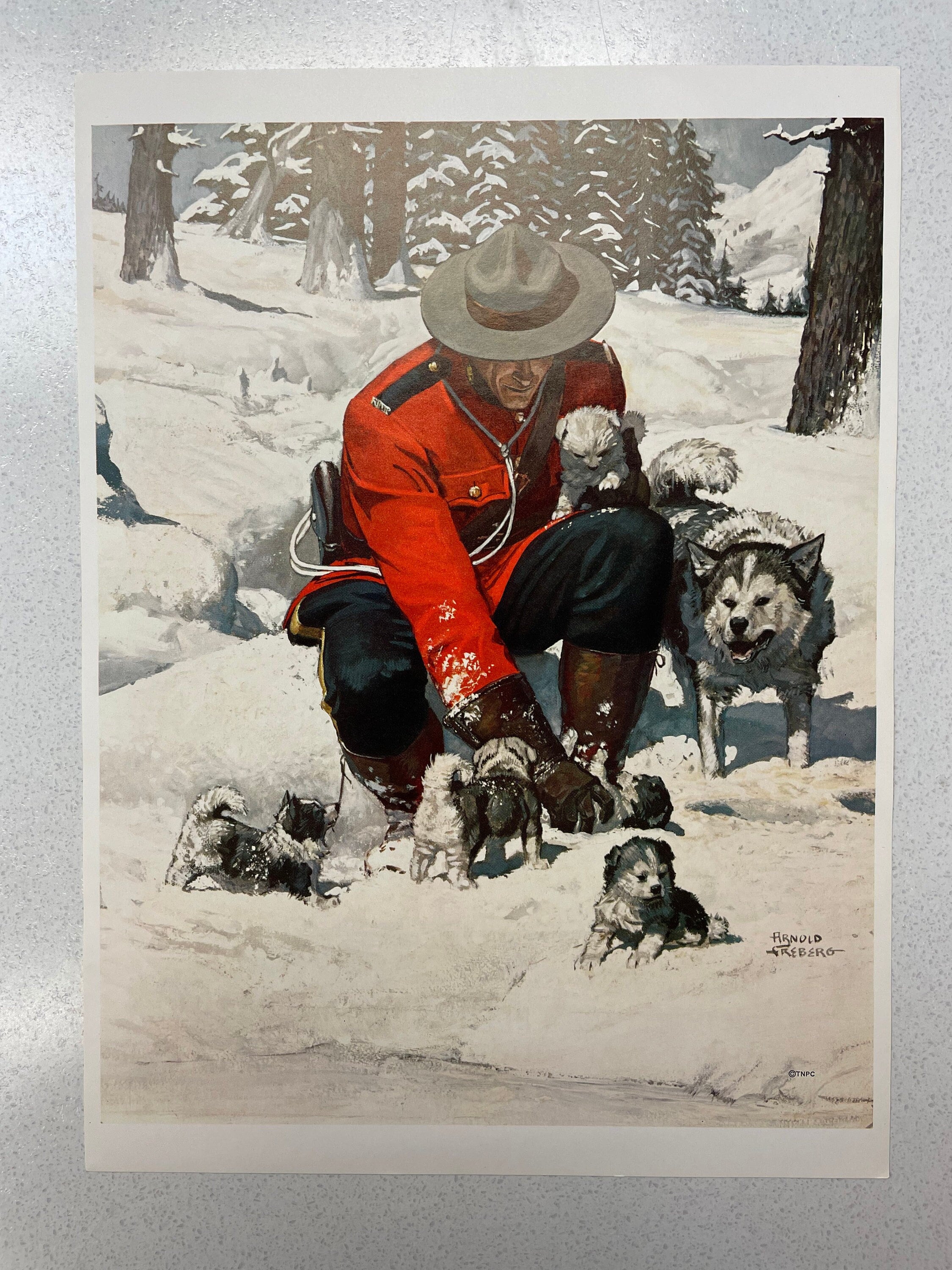 Vintage Arnold Friberg Print Canadian Mountie and Huskie Puppies
