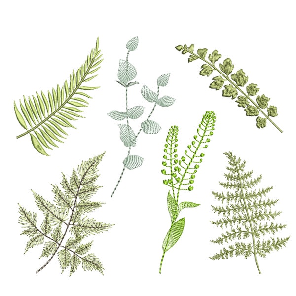 Forest Fern Herbarium Machine Embroidery Design, Pine Tree Eucalyptus Pattern Instant Download ZIP - ANY SIZE