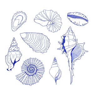 Chinoiserie Shell Set for Machine Embroidery, 8 Nautical Conch Marine Ocean Sea Fish Crab Design Pattern Instant Download ZIP- any size