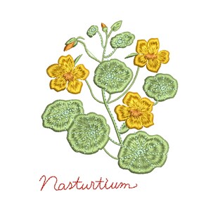 Pu&ograve; includere: Illustrazione ricamata di una pianta di nasturzio con fiori gialli e foglie verdi. Il testo "Nasturtium" &egrave; scritto in rosso sotto la pianta.