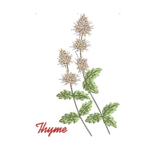 Thyme Meadow Flower Medicinal Herb Machine Embroidery Tablecloth Floral Botanical Garden Pattern Instant Download ZIP - 3 sizes