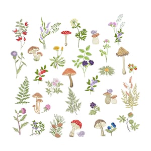33 Forest Botanical Library Machine Embroidery Design, Flower Fern Mushroom Berry Bundle Pattern Instant Download Zip - 5 sizes