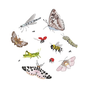 10 Blumen Motte Schmetterling Insekten Fehler Libelle Naturalist Floral Botanischer Garten Maschinenstickerei Design Muster Download ZIP - 3 Größen