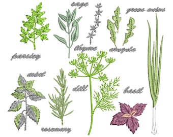 Può includere: Un'illustrazione di varie erbe e spezie, tra cui salvia, timo, prezzemolo, menta, rosmarino, aneto, basilico, rucola e cipolle verdi. Le erbe sono raffigurate in uno stile stilizzato, ricamato con colori verdi e grigi.