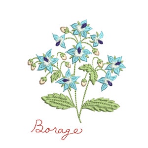 Pu&ograve; includere: Illustrazione ricamata di un fiore di borragine blu con foglie verdi e la parola "Borage" scritta in filo rosso.