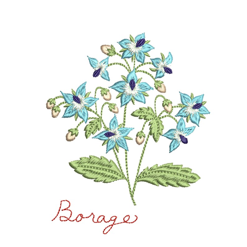 Pu&ograve; includere: Illustrazione ricamata di un fiore di borragine blu con foglie verdi e la parola "Borage" scritta in filo rosso.