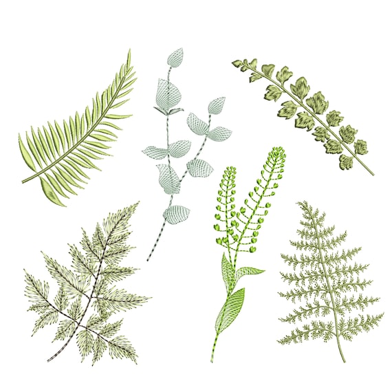 Wald Farn Herbarium Stickdatei, Kiefer Eukalyptus Muster, Instant Download  ZIP - JEDE GRSSE - Etsy sterreich