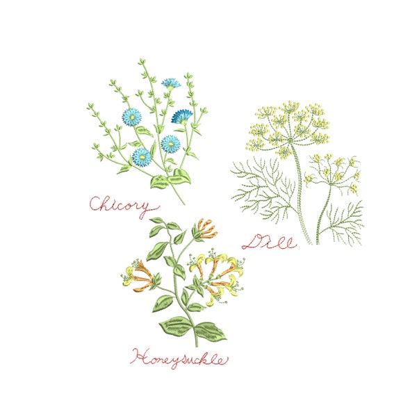 Dill Chicory Honeysuckle Herb Garden Meadow Flower Botanical Machine Embroidery Design Download - 3 designs, 2 SIZES, 4x4