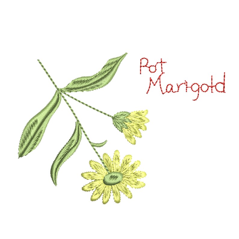 Puede incluir: Imagen bordada de una flor de cal&eacute;ndula amarilla con hojas verdes y el texto "Pot Marigold" en rojo.