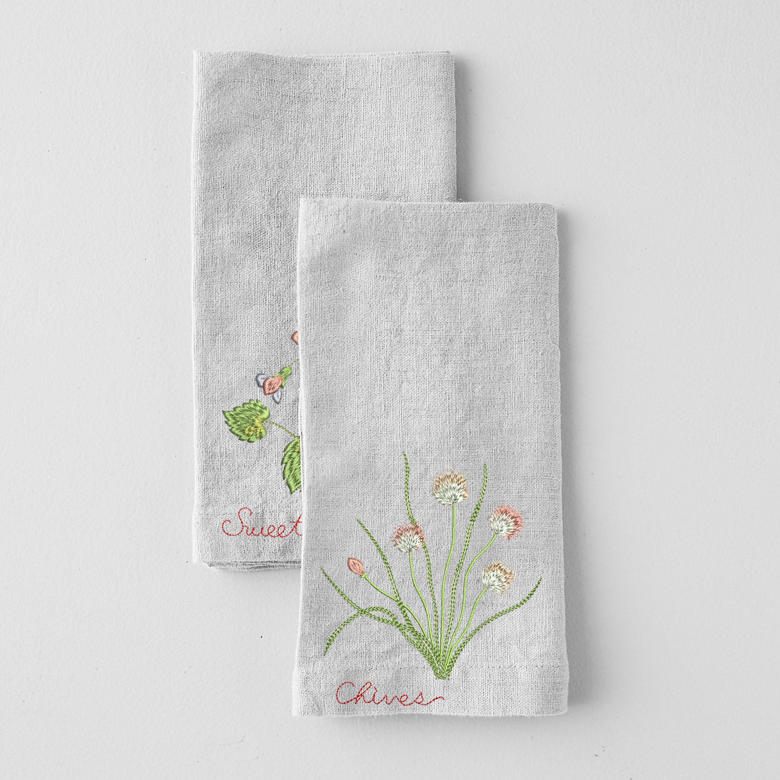 Safflower Chives Violet Herb Garden Meadow Flower Botanical