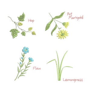 Puede incluir: Una ilustraci&oacute;n de cuatro tipos diferentes de plantas: l&uacute;pulo, cal&eacute;ndula, lino y hierba de lim&oacute;n. Las plantas est&aacute;n dibujadas en un estilo estilizado, bordado, con hojas verdes y flores azules y amarillas.