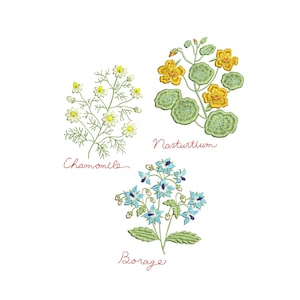 Pu&ograve; includere: Illustrazione ricamata di tre diversi tipi di fiori: camomilla, nasturzio e borragine. I fiori sono raffigurati in uno stile realistico con punti di cucito dettagliati.