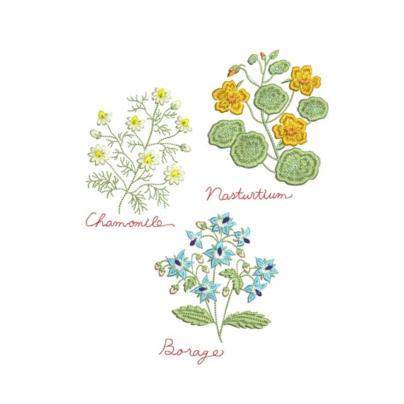 Camomile Chamomile Borage Nasturtium Herb Garden Meadow Flower Botanical Machine Embroidery Design Download - 3 designs, 2 SIZES, 4x4