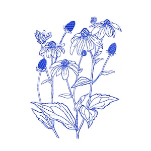 Coneflower Meadow Flower Herb Machine Embroidery Floral Botanical Garden Echinacea Chamomile Pattern Instant Download ZIP - ANY SIZE