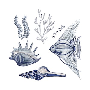 6 Sea Fish Shell Nautical Chinoiserie Chic Tropical Marine Ocean Algae Machine Embroidery Design Pattern Instant Download ZIP- 4 sizes
