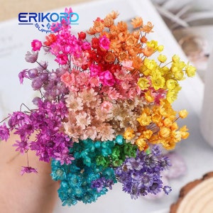 30 peças flores secas decorativas mini margarida pequena estrela buquê de flores plantas naturais preservam floral para decoração de casa de casamento