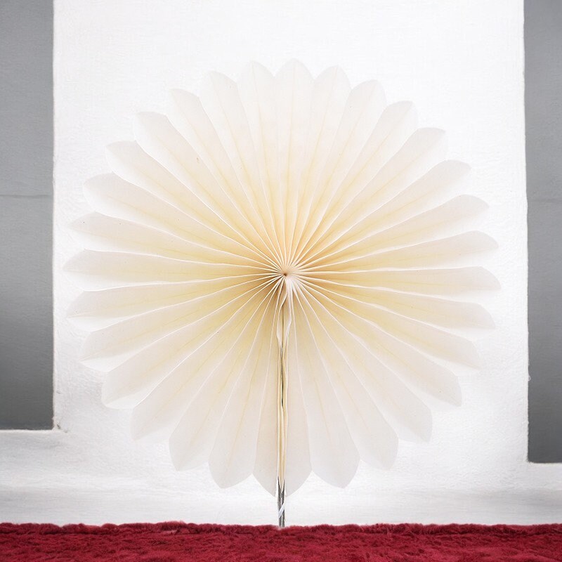5pcs 10/15/20/25cm Paper Fan Pinwheel Round Lantern Giant Paper Flowers ...