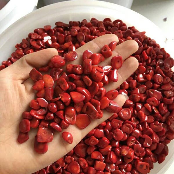 Free Shipping! 50g Natural Red Coral Crystal Rock Chips Freedom Body Gem Lucky Healing Sea Coral Red Coral Gems Natural Beading Material Diy