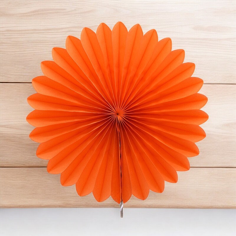 5pcs 10/15/20/25cm Paper Fan Pinwheel Round Lantern Giant Paper Flowers ...
