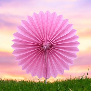 5pcs 10/15/20/25cm Paper Fan Pinwheel Round Lantern Giant Paper Flowers ...