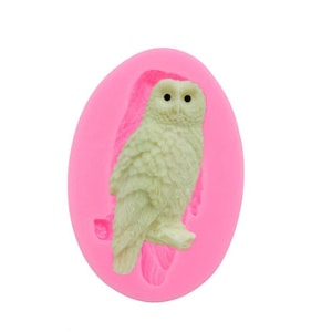 May include: A light green owl-shaped silicone mold with a textured surface, set against a bright pink background. The owl is detailed with black eyes and a fluffy appearance, perfect for crafting or baking.