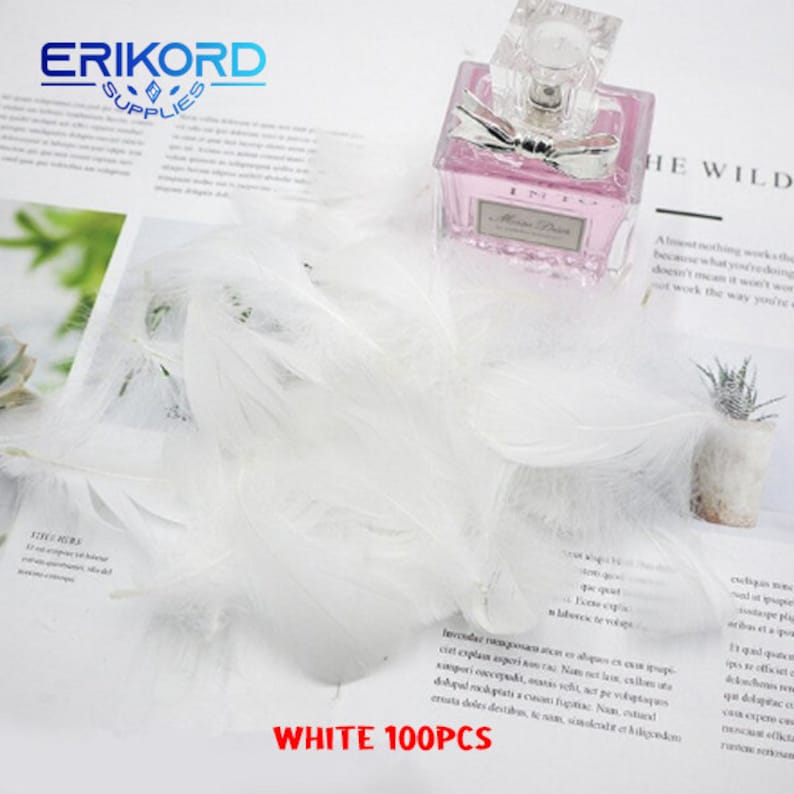 May include: A pile of 100 white feathers, ideal for crafting or decorating. The feathers are soft and fluffy, and they would be a great addition to any project.
