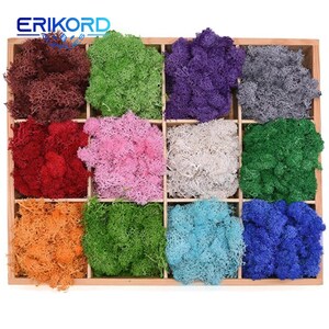 May include: A wooden box filled with 12 different colours of preserved moss. The moss is arranged in a grid pattern, with each square containing a different colour. The colours include red, orange, yellow, green, blue, purple, pink, white, and grey.