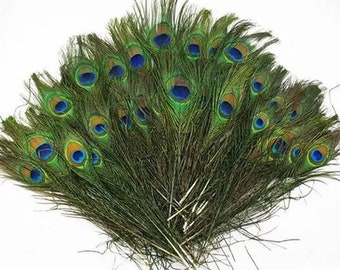 20pcs, Peacock Feathers, REAL Feathers, Natural Feathers, 23-30 cm, Feather Crafts, Floral Arranging, Bird Feathers, Feather Hair Clip