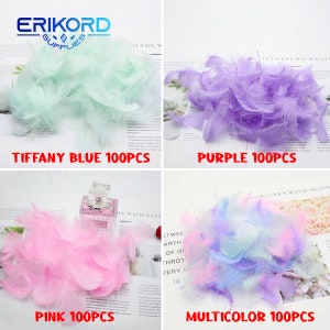 May include: Four piles of feathers in different colours: Tiffany Blue, Purple, Pink, and Multicolour. Each pile contains 100 feathers.