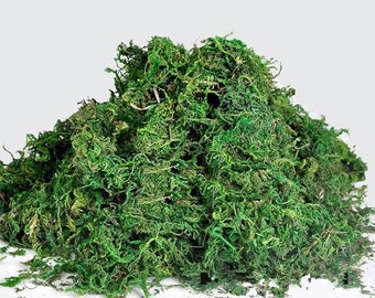 Free Shipping! 100g Real Green Moss Decorative Plants Vase Accessories for Flowerpot Decor Dried Green Moss Dried Crafting Moss Natural Moss