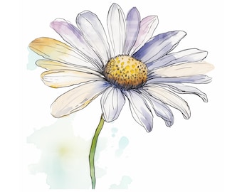 Watercolor Daisy Clipart, Floral Line Drawing (Digital Download)