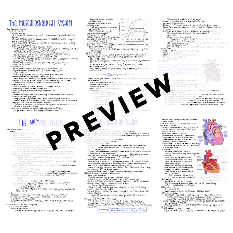 Biology MCAT Study Guide - Etsy