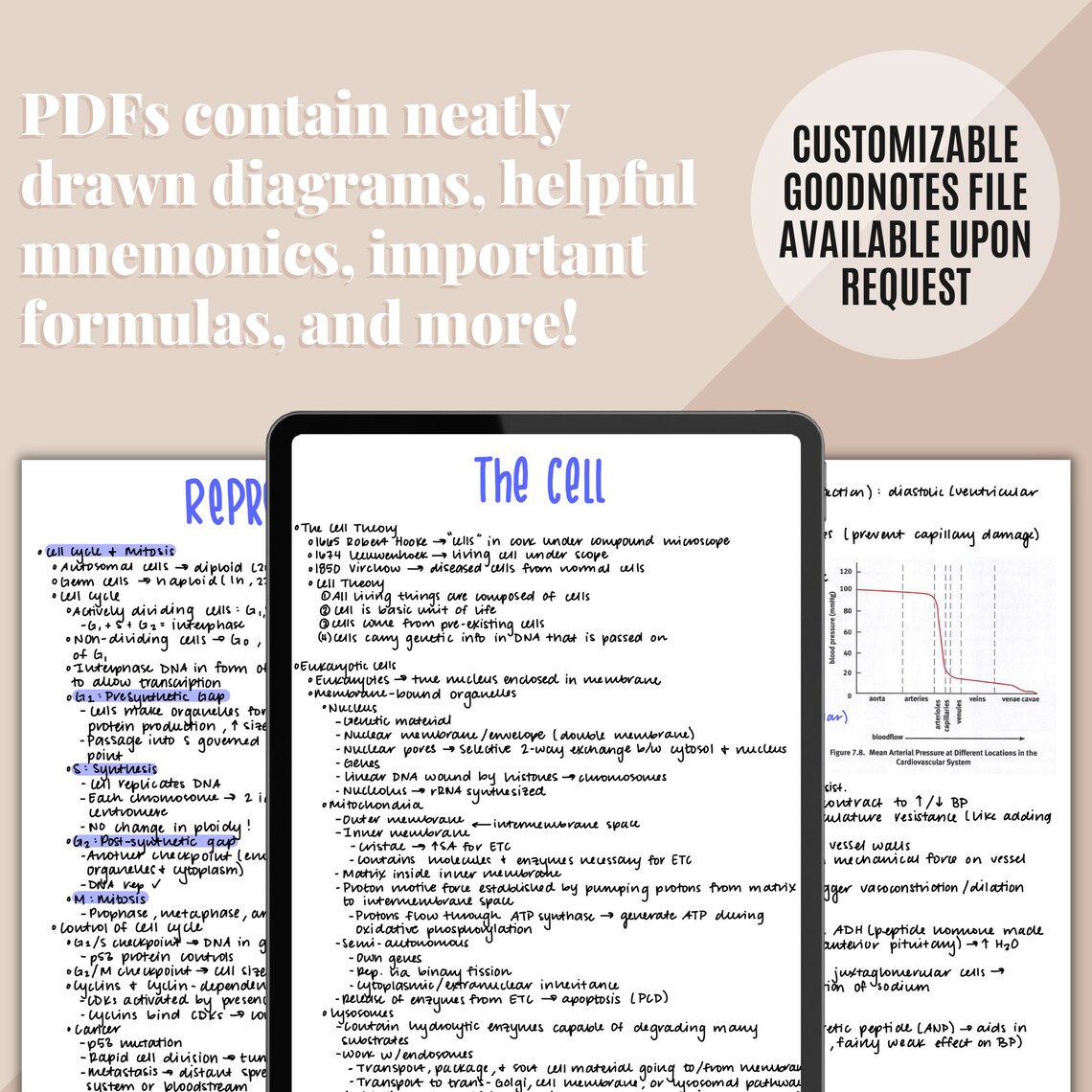 Biology MCAT Study Guide - Etsy