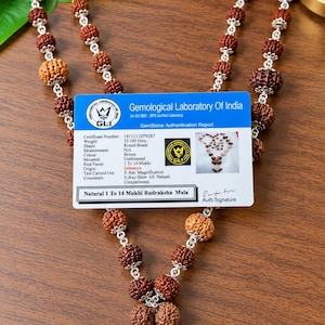 May include: A Rudraksha mala necklace featuring brown, textured, round beads separated by silver-toned metal spacers. A Gemological Laboratory Of India authentication card is placed over the beads, detailing a weight of 33.100 grams and 1 to 14 Mukhi.
