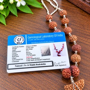 Puede incluir: Un collar con cuentas de Rudraksha marrones y texturizadas unidas con alambre de metal plateado, acompañado de una tarjeta de autenticación del Gemological Laboratory of India. La tarjeta muestra el texto Natural 1 To 14 Mukhi Rudraksha y 19,870 g.