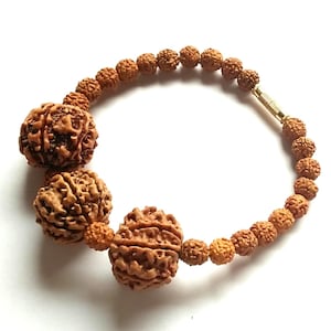 7 mukhi rudraksha bracelet for divine spirituality and prosperity