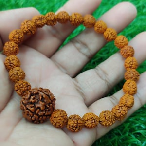 Rudraksha bracelet stretchable 5 mukhi big rudraksha bead for positive energy and aura